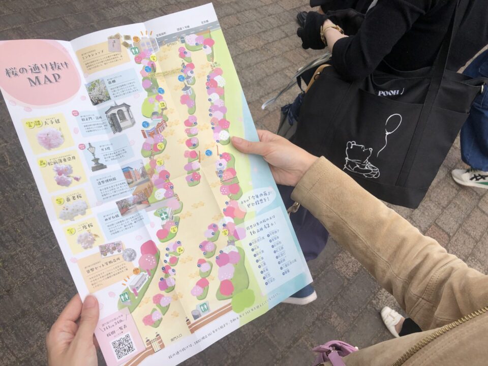 桜の通り抜けMAP